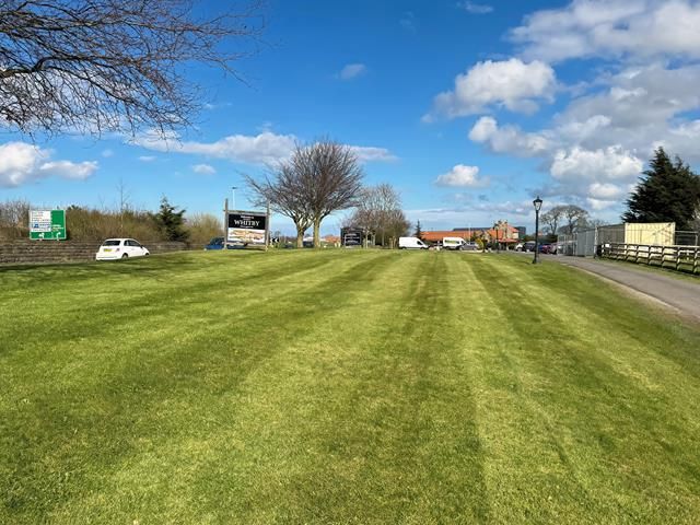 grass-cutting (9)-kireth-ai